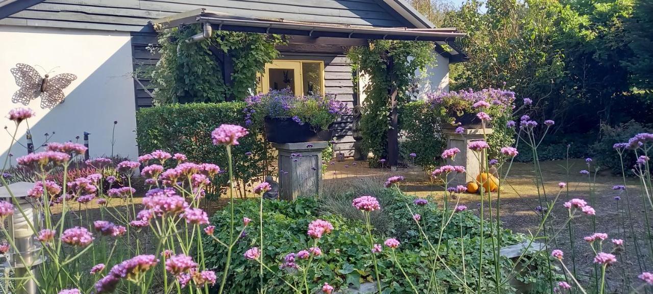 Roing B&B Hijken Eksteriør billede