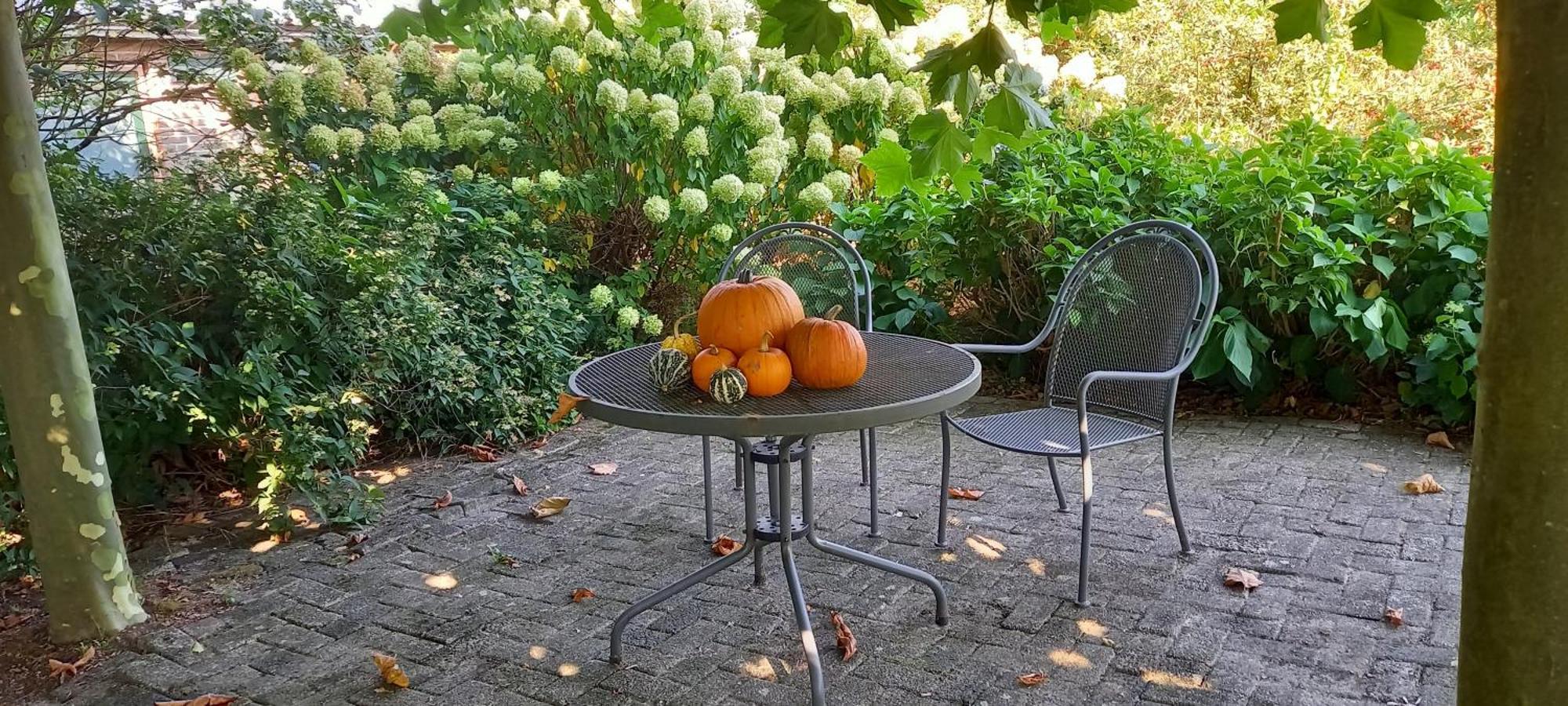 Roing B&B Hijken Eksteriør billede